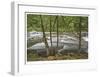 Clackamas River I-Donald Paulson-Framed Giclee Print