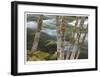 Clackamas River II-Donald Paulson-Framed Giclee Print