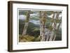 Clackamas River II-Donald Paulson-Framed Giclee Print