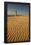 Essential Black