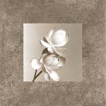 Lotus Duet-Claire Beaumont-Stretched Canvas