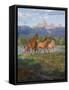 Framed Canvas
