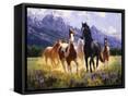 Canvas Black