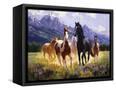Canvas Black