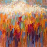 Poppy Walk-Claire Hardy-Stretched Canvas