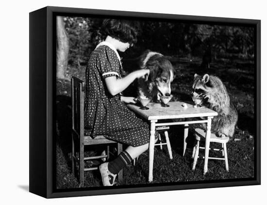 Claire Shorrock Giving Ice Cream Party with Pet Dog and Raccoon-null-Framed Stretched Canvas