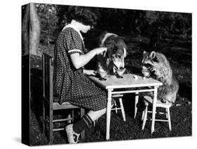 Claire Shorrock Giving Ice Cream Party with Pet Dog and Raccoon-null-Stretched Canvas