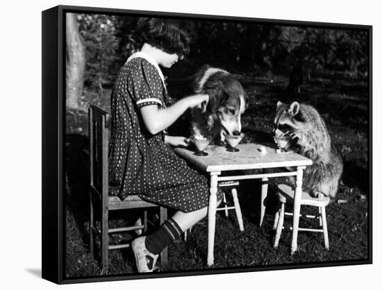 Claire Shorrock Giving Ice Cream Party with Pet Dog and Raccoon-null-Framed Stretched Canvas