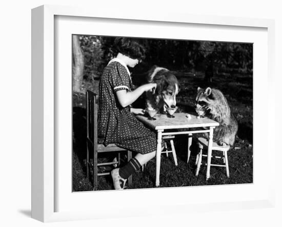 Claire Shorrock Giving Ice Cream Party with Pet Dog and Raccoon-null-Framed Photographic Print