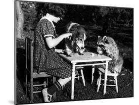 Claire Shorrock Giving Ice Cream Party with Pet Dog and Raccoon-null-Mounted Photographic Print