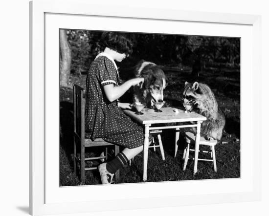 Claire Shorrock Giving Ice Cream Party with Pet Dog and Raccoon-null-Framed Photographic Print