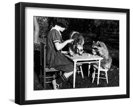 Premium Photographic Print, , large