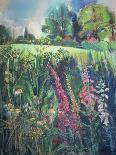 Summer Field-Claire Spencer-Giclee Print