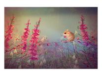 Dormouse party-Claire Westwood-Art Print