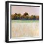 Black Frame