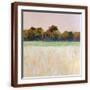 Brown Frame
