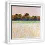 White Frame
