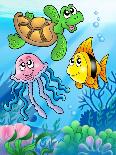 Various Sea Fishes and Animals-clairev-Stretched Canvas