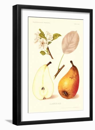 Clairgeaus Pears-null-Framed Art Print