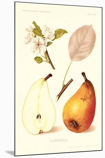 Clairgeaus Pears-null-Mounted Art Print