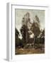 Clairiere Pierre du Bois, the Evaux, near Chateau-Thierry-Jean-Baptiste-Camille Corot-Framed Giclee Print