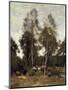 Clairiere Pierre du Bois, the Evaux, near Chateau-Thierry-Jean-Baptiste-Camille Corot-Mounted Giclee Print