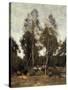 Clairiere Pierre du Bois, the Evaux, near Chateau-Thierry-Jean-Baptiste-Camille Corot-Stretched Canvas