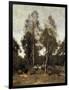 Clairiere Pierre du Bois, the Evaux, near Chateau-Thierry-Jean-Baptiste-Camille Corot-Framed Giclee Print