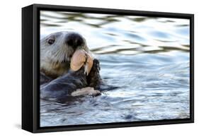 Clam Bake Otter Style-Latitude 59 LLP-Framed Stretched Canvas