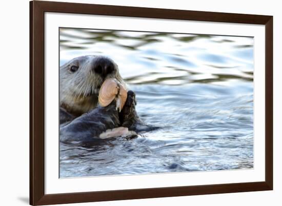 Clam Bake Otter Style-Latitude 59 LLP-Framed Photographic Print