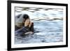 Clam Bake Otter Style-Latitude 59 LLP-Framed Photographic Print