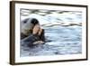 Clam Bake Otter Style-Latitude 59 LLP-Framed Photographic Print