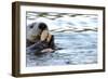 Clam Bake Otter Style-Latitude 59 LLP-Framed Photographic Print