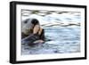 Clam Bake Otter Style-Latitude 59 LLP-Framed Photographic Print