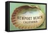 Clam Shell Souvenir from Newport Beach, California-null-Framed Stretched Canvas