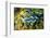 Clams, Cocos (Keeling) Islands, Indian Ocean, Asia-Lynn Gail-Framed Photographic Print