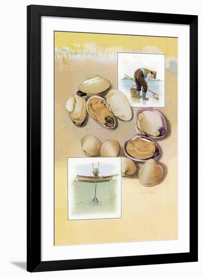 Clams-null-Framed Art Print