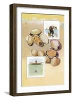 Clams-null-Framed Art Print