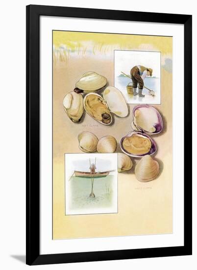 Clams-null-Framed Art Print