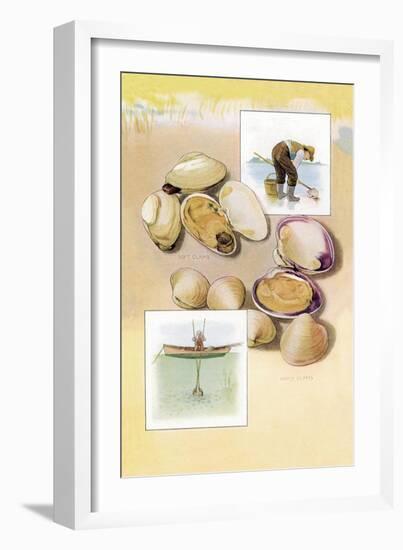 Clams-null-Framed Art Print