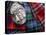 Clan Tartans, Inverness, Scotland-Paul Harris-Stretched Canvas