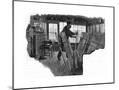 Wood Mount