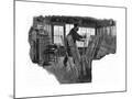Wood Mount