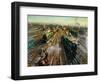 Clapham Junction (Oil on Canvas)-Terence Cuneo-Framed Giclee Print