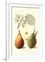 Clapp's Liebling Pears-null-Framed Art Print