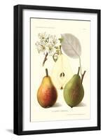 Clapp's Liebling Pears-null-Framed Art Print