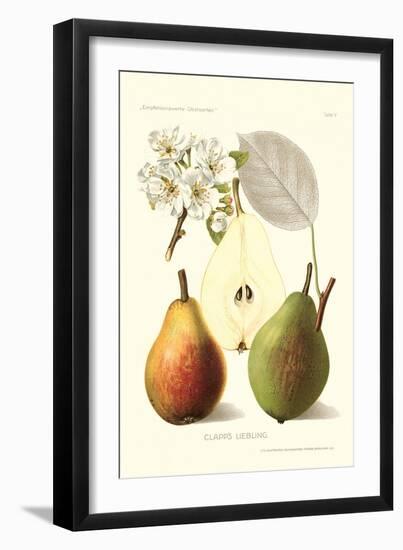 Clapp's Liebling Pears-null-Framed Art Print