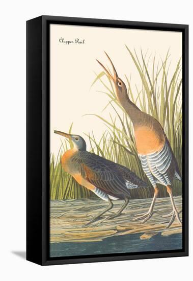 Clapper Rail-John James Audubon-Framed Stretched Canvas