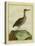 Clapper Rail-Georges-Louis Buffon-Stretched Canvas