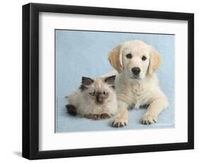 Clara and Cassie-Rachael Hale-Framed Photographic Print